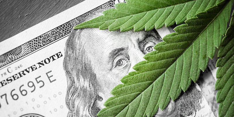 Är det värt att jobba i cannabisindustrin? Är det värt att jobba i cannabisindustrin?