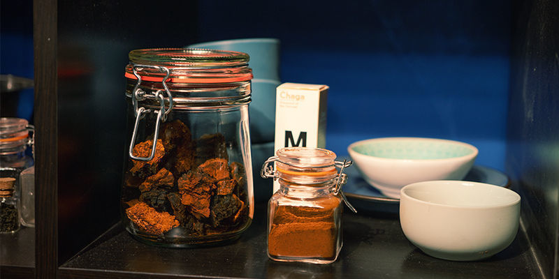 Hur du förvarar chaga How To Store Chaga