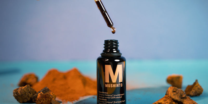 Tinktur What Is Chaga Mushroom Tincture