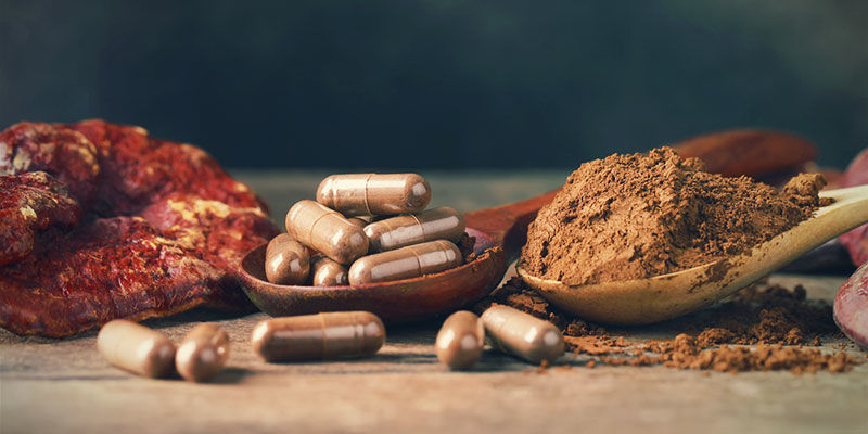 Hur du tar reishi How To Take Reishi