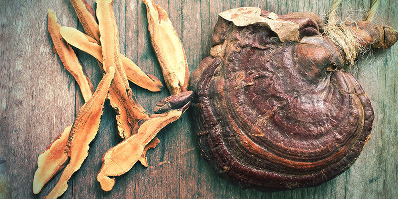 Hel svamp Reishi Whole Mushroom