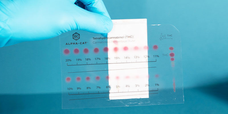 Vilka cannabinoider kan upptäckas med Alpha-Cat Cannabinoid Test Mini Kit? Vilka cannabinoider kan upptäckas med Alpha-Cat Cannabinoid Test Mini Kit?
