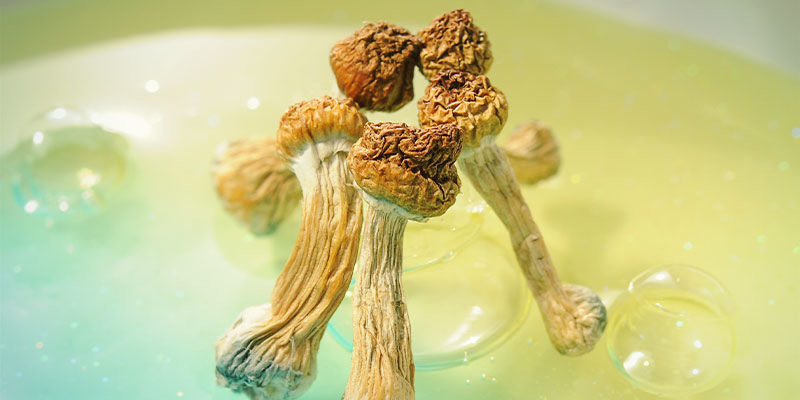 Vilka psykedelika fungerar bra med VR? Which Psychedelics Work Well With VR