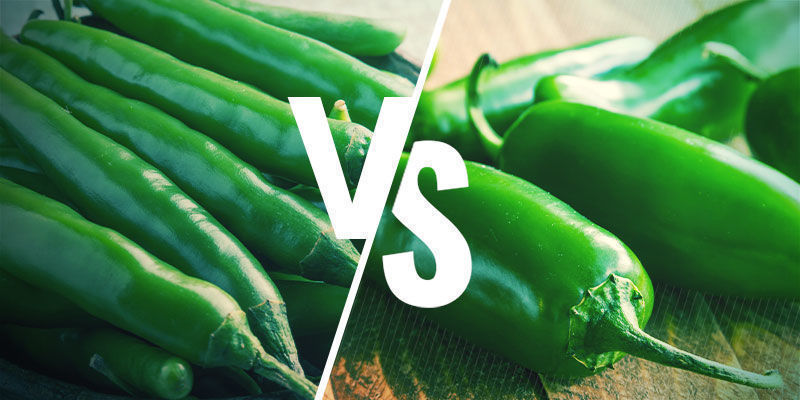 Är grön chili och jalapeño samma sak? Är grön chili och jalapeño samma sak?