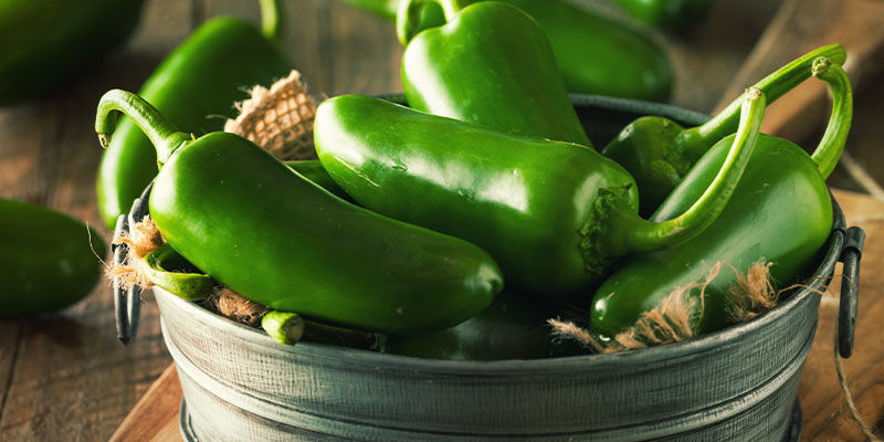 Starta ditt chiliprojekt i dag — bara ett steg från jalapeño-himlen Starta ditt chiliprojekt i dag — bara ett steg från jalapeño-himlen