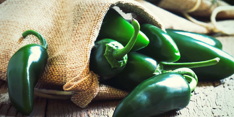 Odla jalapeños: steg Odla jalapeños: steg