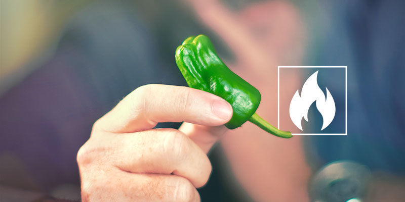 Hur starka är jalapeñochilifrukter? Hur starka är jalapeñochilifrukter?