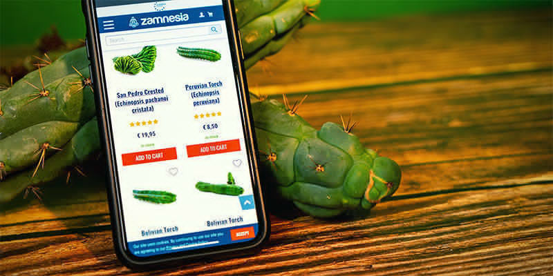 Var kan man köpa Echinopsis zamnesiana Where To Buy Echinopsis Zamnesiana
