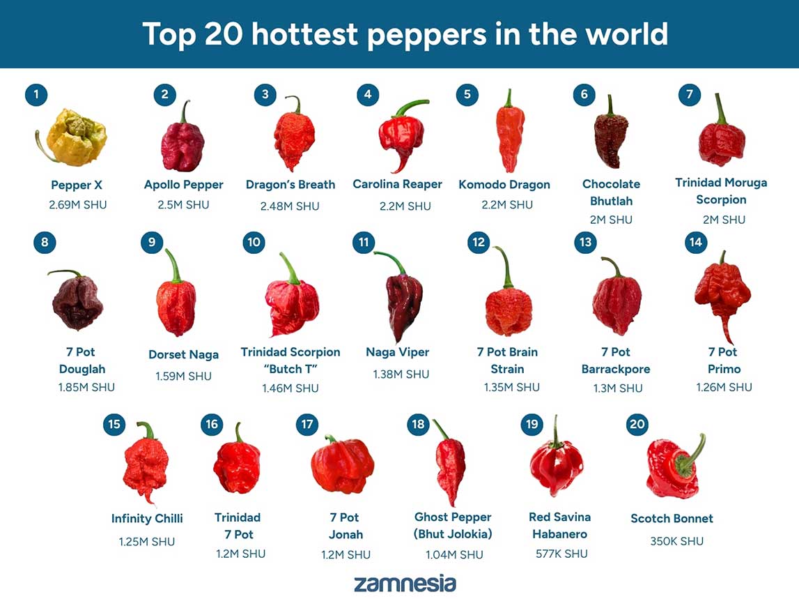 Topp 20 hetaste chilifrukter i v&auml;rlden