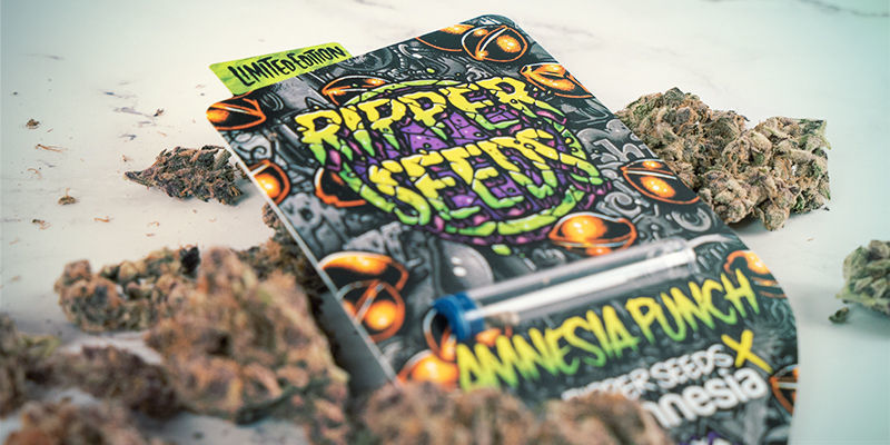 Effekterna av Amnesia Punch Effekterna av Amnesia Punch