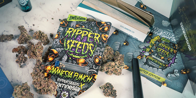 Zamnesia och Ripper Seeds: Ett samarbete kring genetik Zamnesia And Ripper Seeds: A Collaboration Of Cultivar