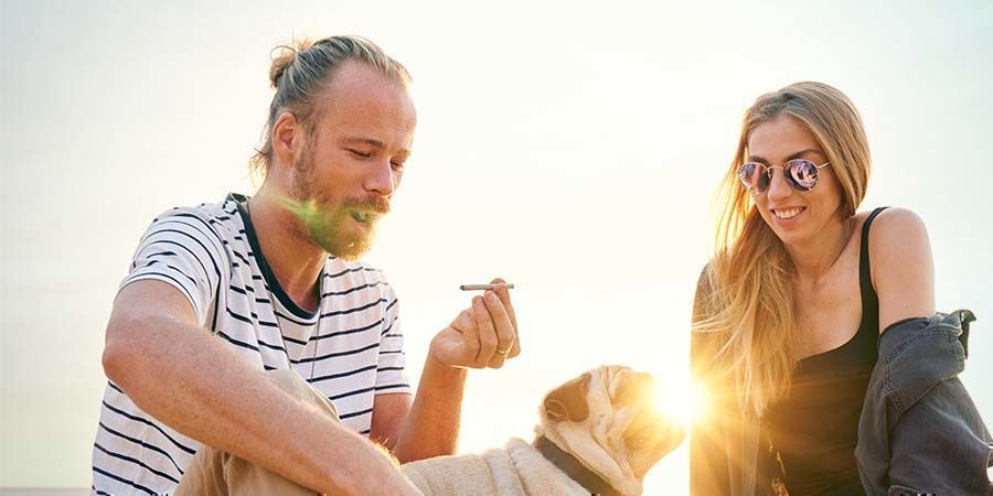 Medicinsk kontra rekreationscannabis: anv&auml;ndningssyfte