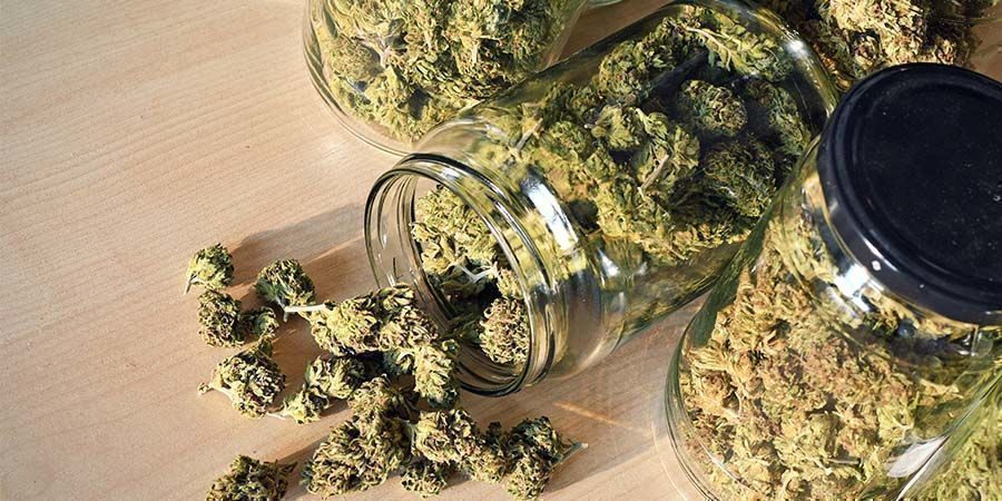 B&auml;sta rekreationscannabissorter