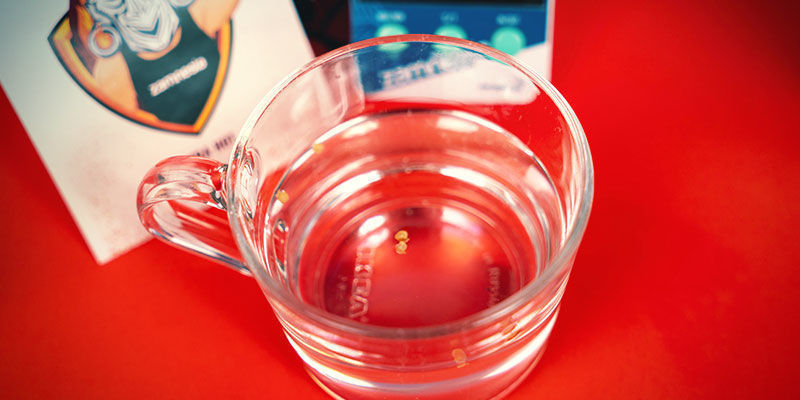 Gro paprikafrön i vatten Germinating pepper seeds in water
