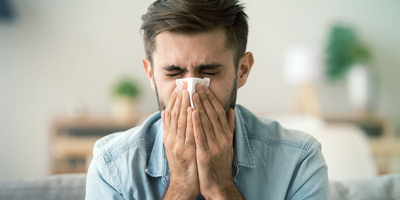 Kan man vara allergisk mot cannabis? Kan man vara allergisk mot cannabis?
