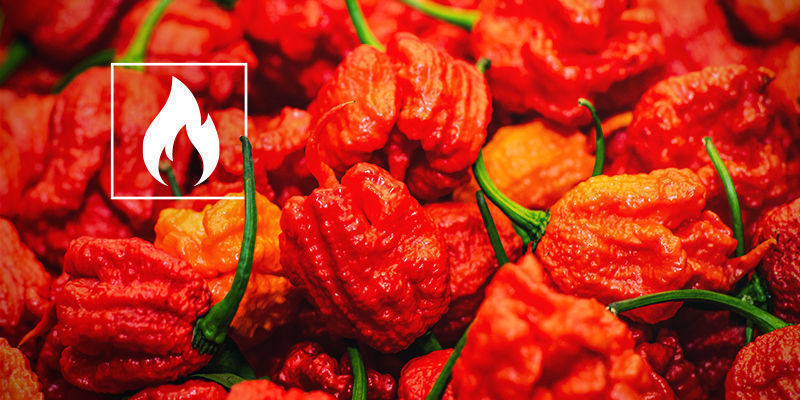 Hur stark är Carolina Reaper? Hur stark är Carolina Reaper?
