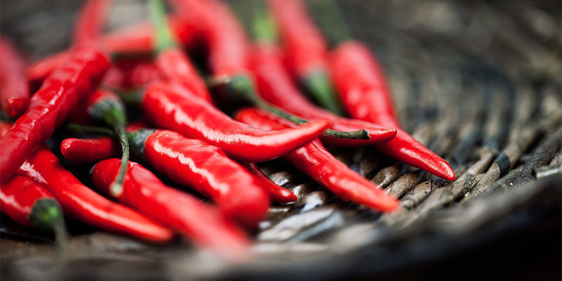 Hur du skördar Cayenne Long Slim-chili How To Harvest Cayenne Long Slim Chilli Peppers