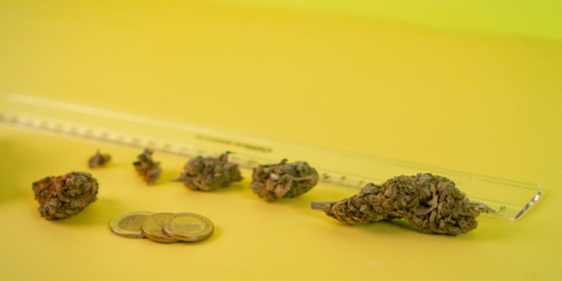 4 Diy Methods For Measuring Weed Without Scales 4 Diy Methods For Measuring Weed Without Scales