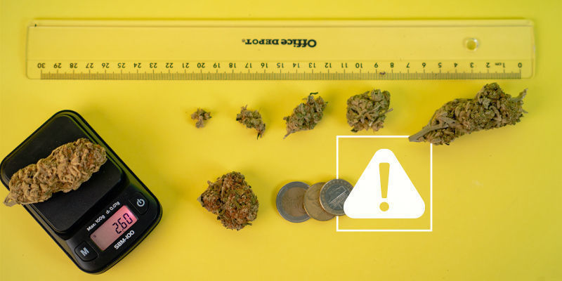Riskerna med att använda hemmagjorda vågar för att mäta cannabis Riskerna med att använda hemmagjorda vågar för att mäta cannabis