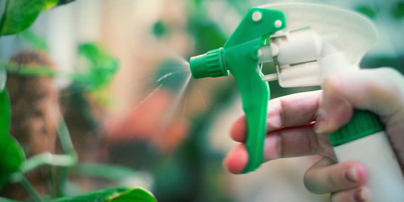 Naturliga bekämpningsmedel Natural Pesticides