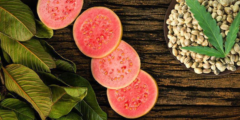 Frosted Guava: Smak och effekter Frosted Guava: Smak och effekter