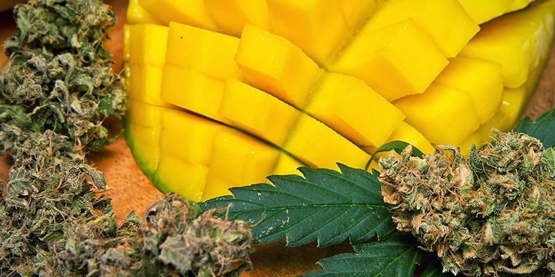 Myrcene Containing Foods Myrcene Containing Foods