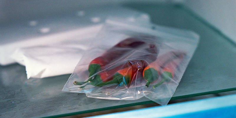 Kan man frysa chili och paprikor? Kan man frysa chili och paprikor?