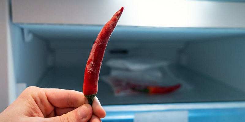 Tina upp och använda starka chilipeppar Tina upp och använda starka chilipeppar