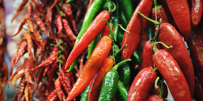 Hur man torkar chili och paprika Hur man torkar chili och paprika