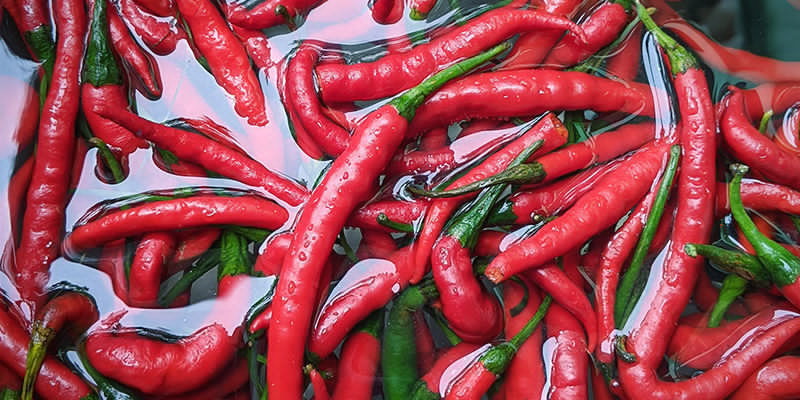 Tvätta din chili noggrant Tvätta din chili noggrant