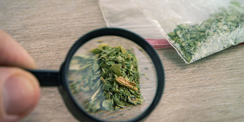 Sura, dekarboxylerade och syntetiska cannabinoider: förstå skillnaderna Acidic, Decarbed, And Synthetic Cannabinoids: Understanding The Differences