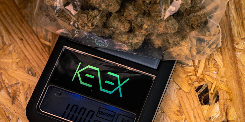 Hur mycket QWISO-hasch av 10 gram cannabis? Hur mycket QWISO-hasch av 10 gram cannabis?