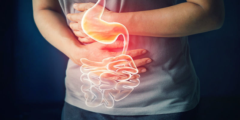 Matsmältning Digestion