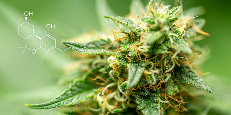 Vad är hexahydrocannabinol (HHC)? What is hexahydrocannabinol (HHC)?