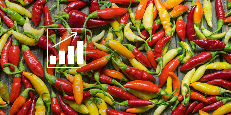 Ökar beskärning av chiliplantor avkastningen? Ökar beskärning av chiliplantor avkastningen?