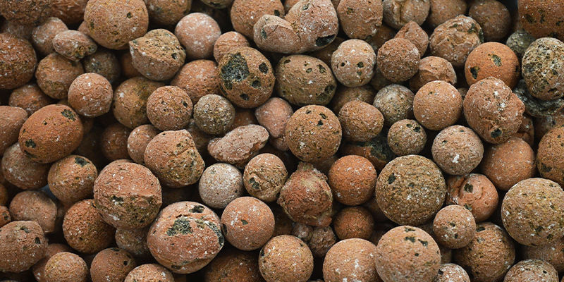 Odla hydroponiska chilipeppar: bästa tipsen Odla hydroponiska chilipeppar: bästa tipsen