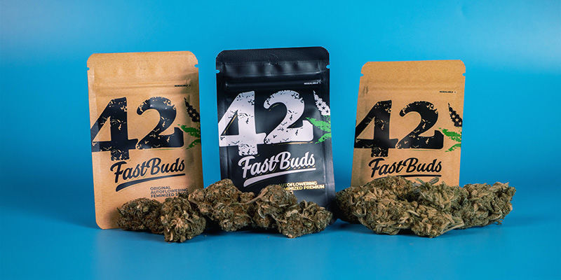 FastBuds internationella partnerskap FastBuds international partnerships