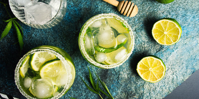 Hur gör man cannabisjuice? How Do You Make Cannabis Juice?