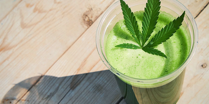 Rå cannabisjuice: en ny konsumtionsmetod Raw Cannabis Juice: A New Consumption Method