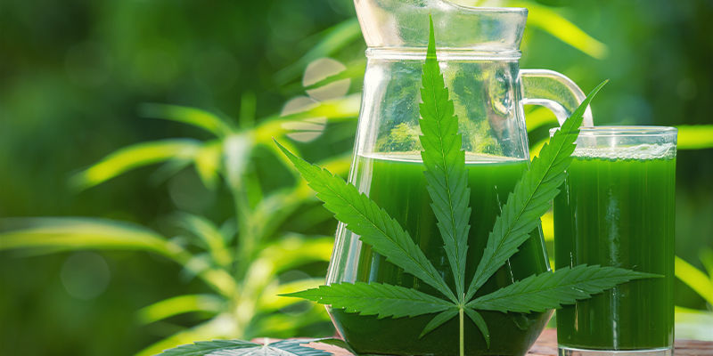 Vad är rå cannabissaft? Vad är rå cannabissaft?