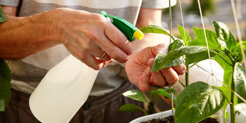 Kalciumspray för bladgödsling Calcium Foliar Spray