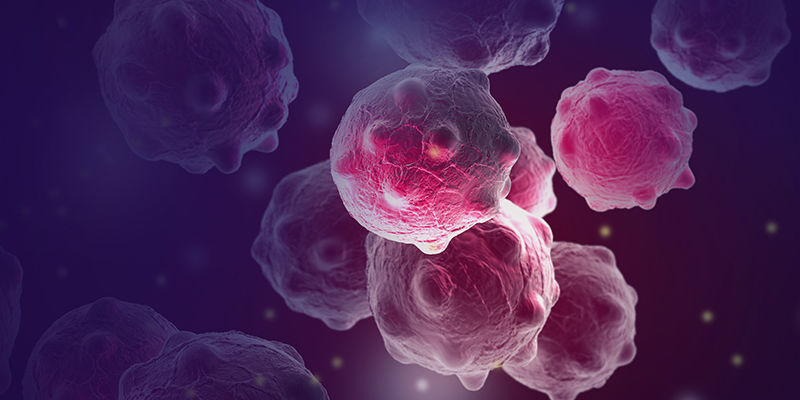 Potentiella fördelar med geraniol Potential Benefits Of Geraniol