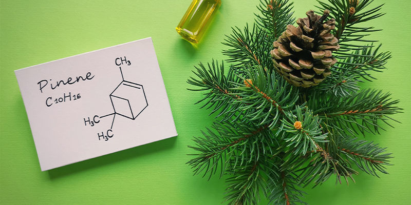 Vad är pinenens kemiska struktur? What Is The Chemical Structure Of Pinene?