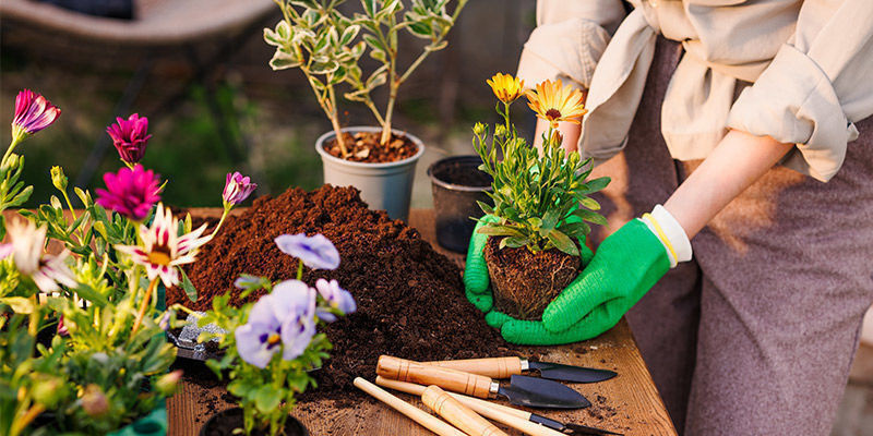 5. Trädgårdsarbete 5. Gardening