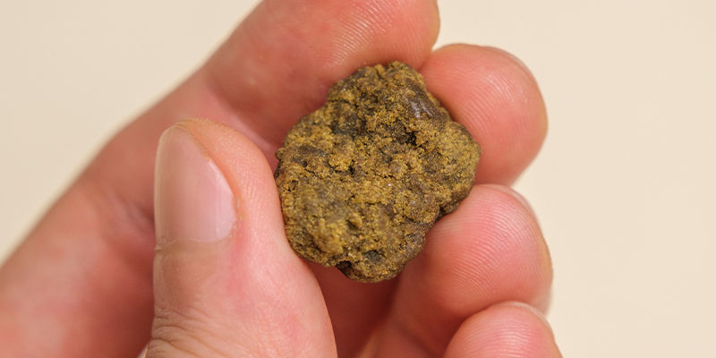Alternatives till snabb torkning av cannabis: Använd färsk cannabis för att göra live-extrakt! Alternatives to speed-drying weed: Use fresh weed to make live extracts!