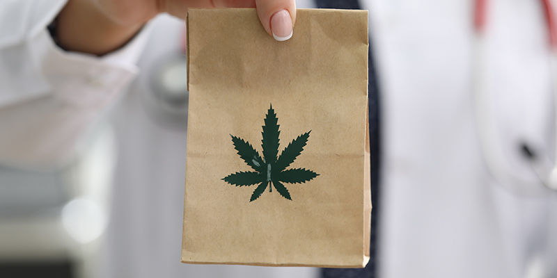 Torka cannabis i papperspåsar Torka cannabis i papperspåsar