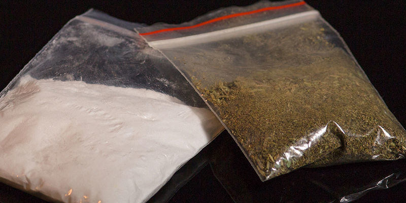 Risker med att snorta cannabis Risker med att snorta cannabis