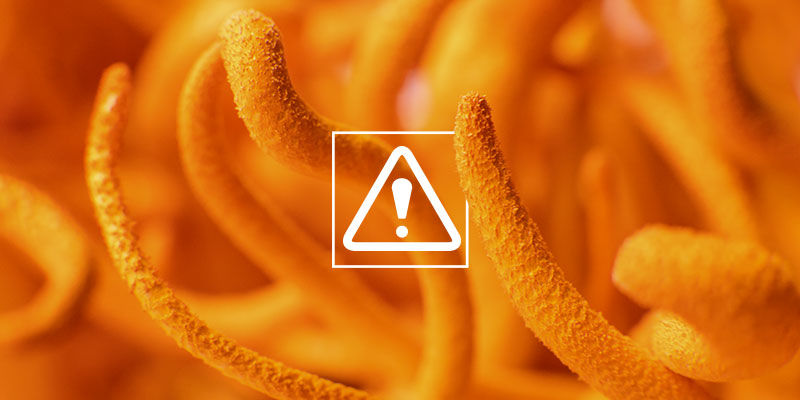 Är cordyceps farligt? Is Cordyceps Dangerous?