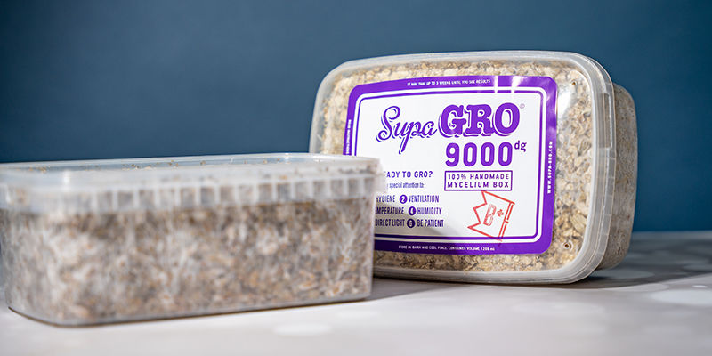 Mushroom Grow Kits Mushroom Grow Kits