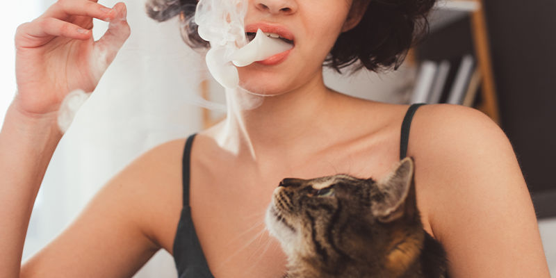 Kan djur bli höga av passiv cannabisrök? Kan djur bli höga av passiv cannabisrök?